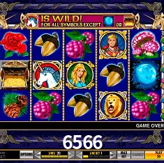 6566 Brasília - VIP Program